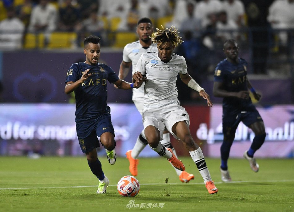 国际轮滑马 国际轮滑马